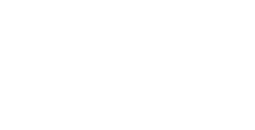 Plug-in Hybrid logo